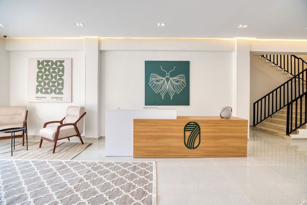 Seven Stays Zayed 2