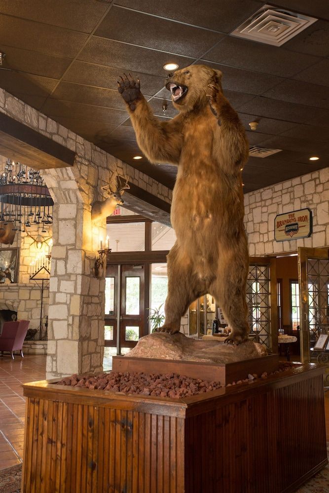 Y O Ranch Hotel and Conference Center 2