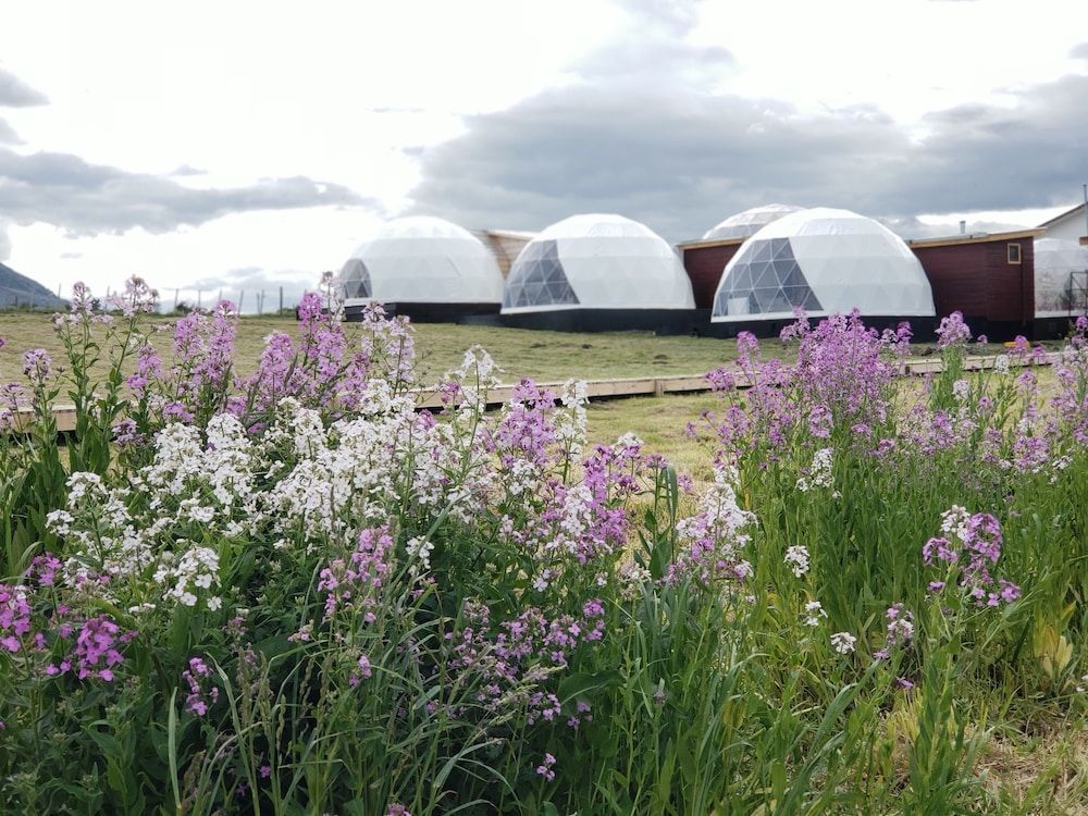 Garden Domes 1