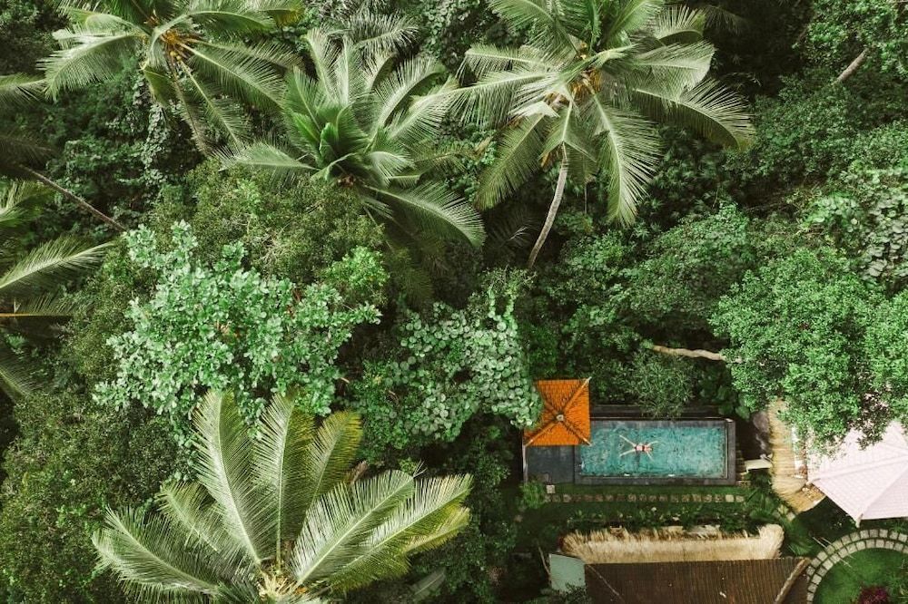 The Nest in Ubud 1