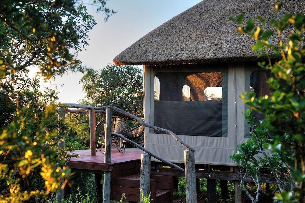 Addo Elephant Safari Lodge - Bellevue Forest Reserve 2