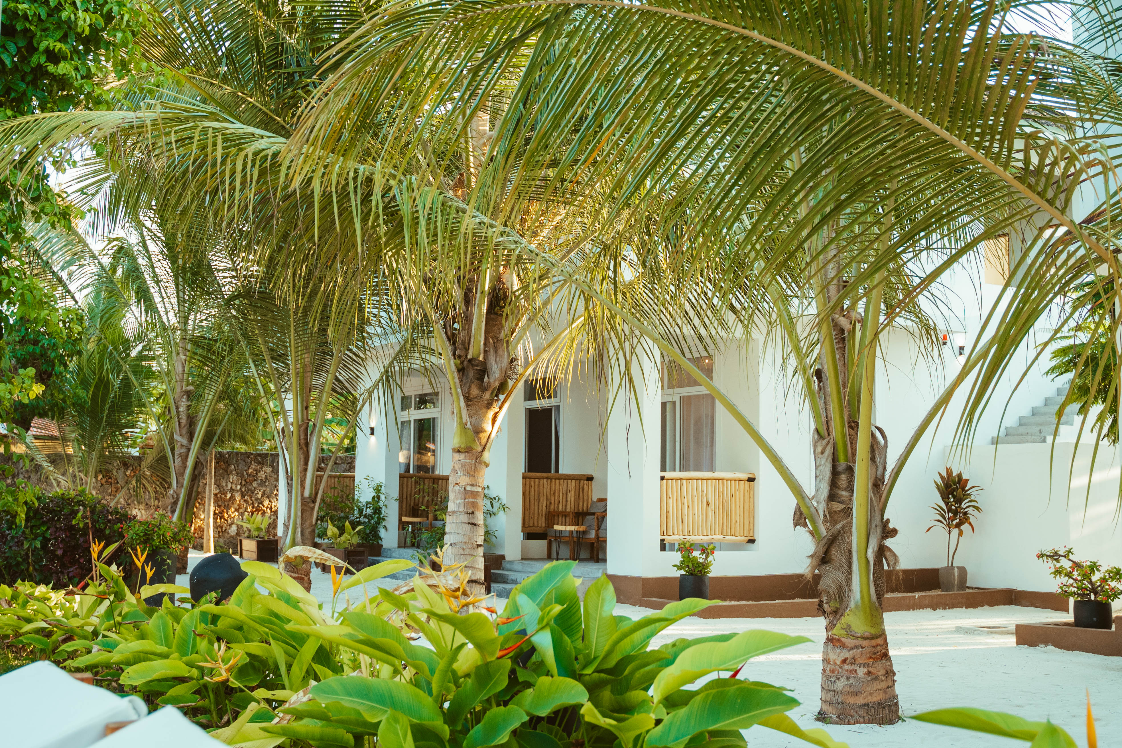 Paris - Pongwe - Balungi Boutique Hotel - Pongwe