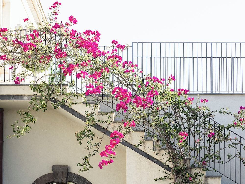 Donna Carmela Resort & Lodges 2