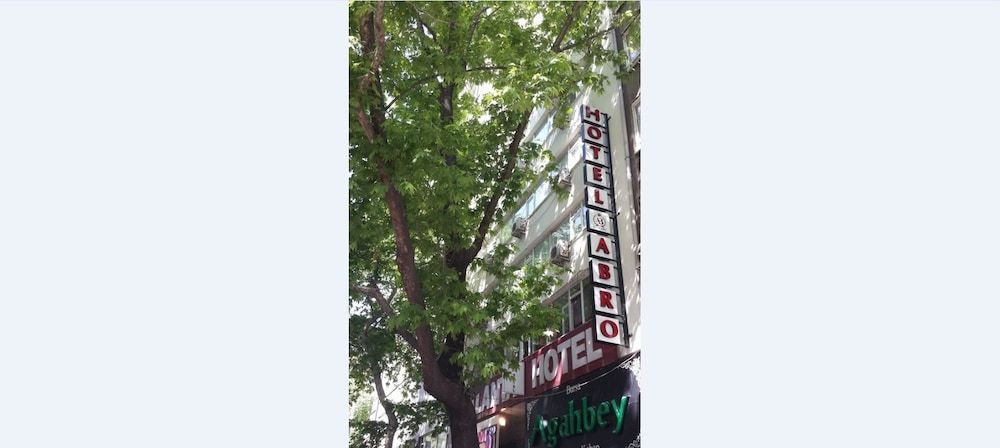 Hotel Abro Necatibey 1