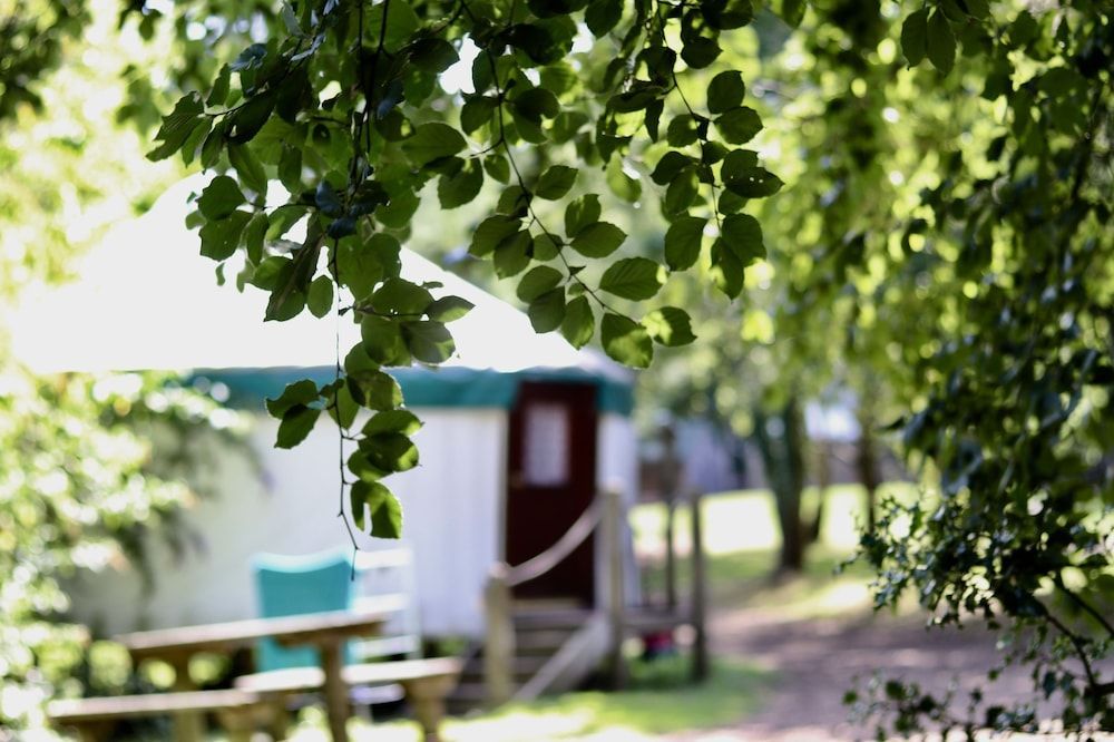Yurtcamp Devon 1