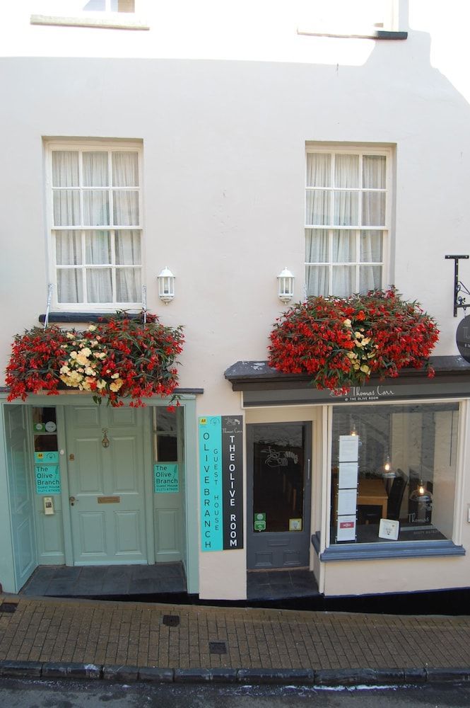The Olive Branch 1