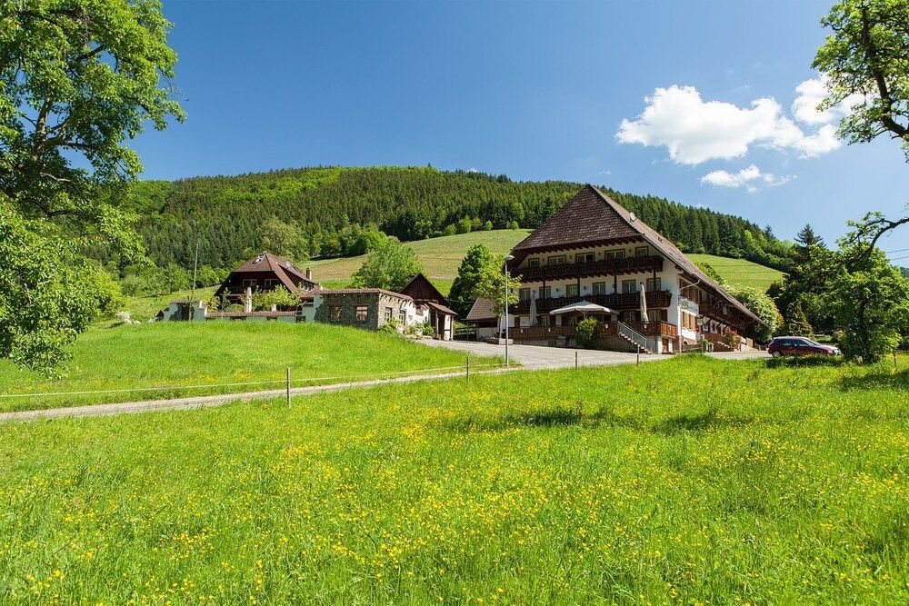 Landgasthaus Grüner Baum 1