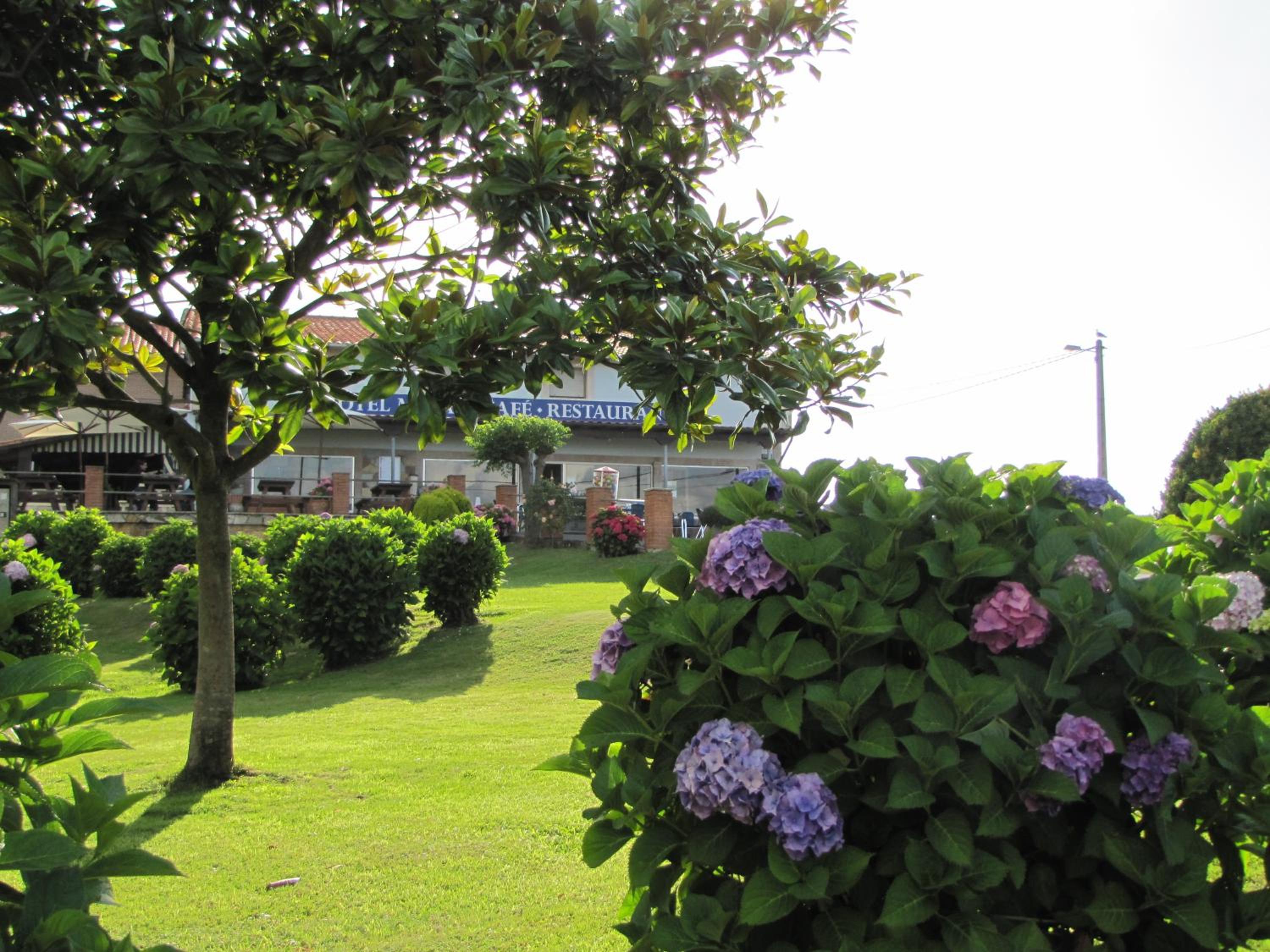 Hotel Migal 2