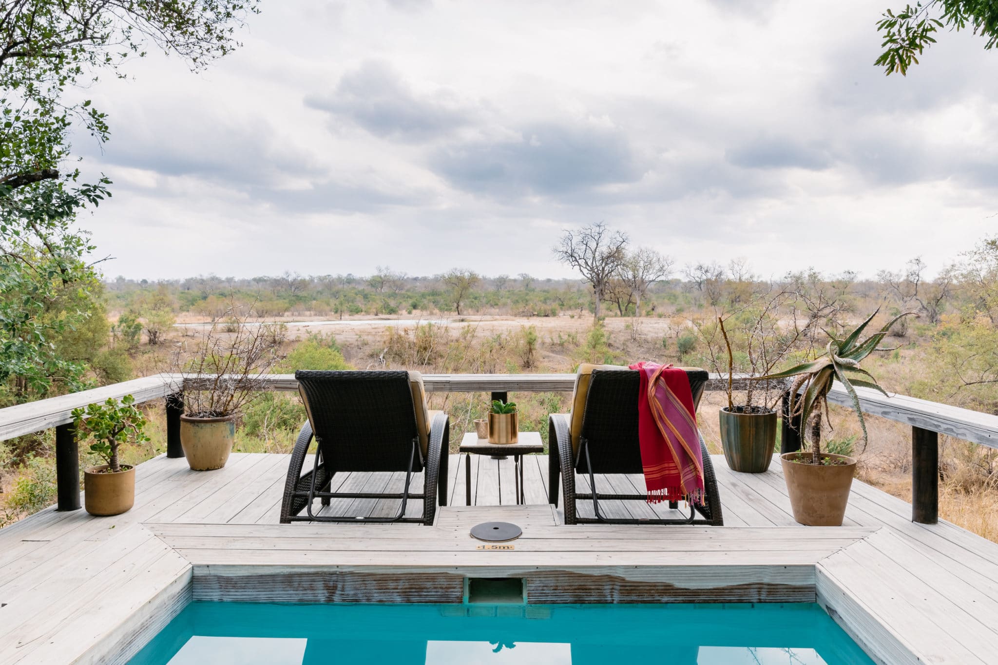 Thornybush Simbambili Lodge 1