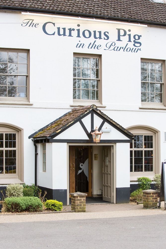 The Curious Pig in the Parlour 1