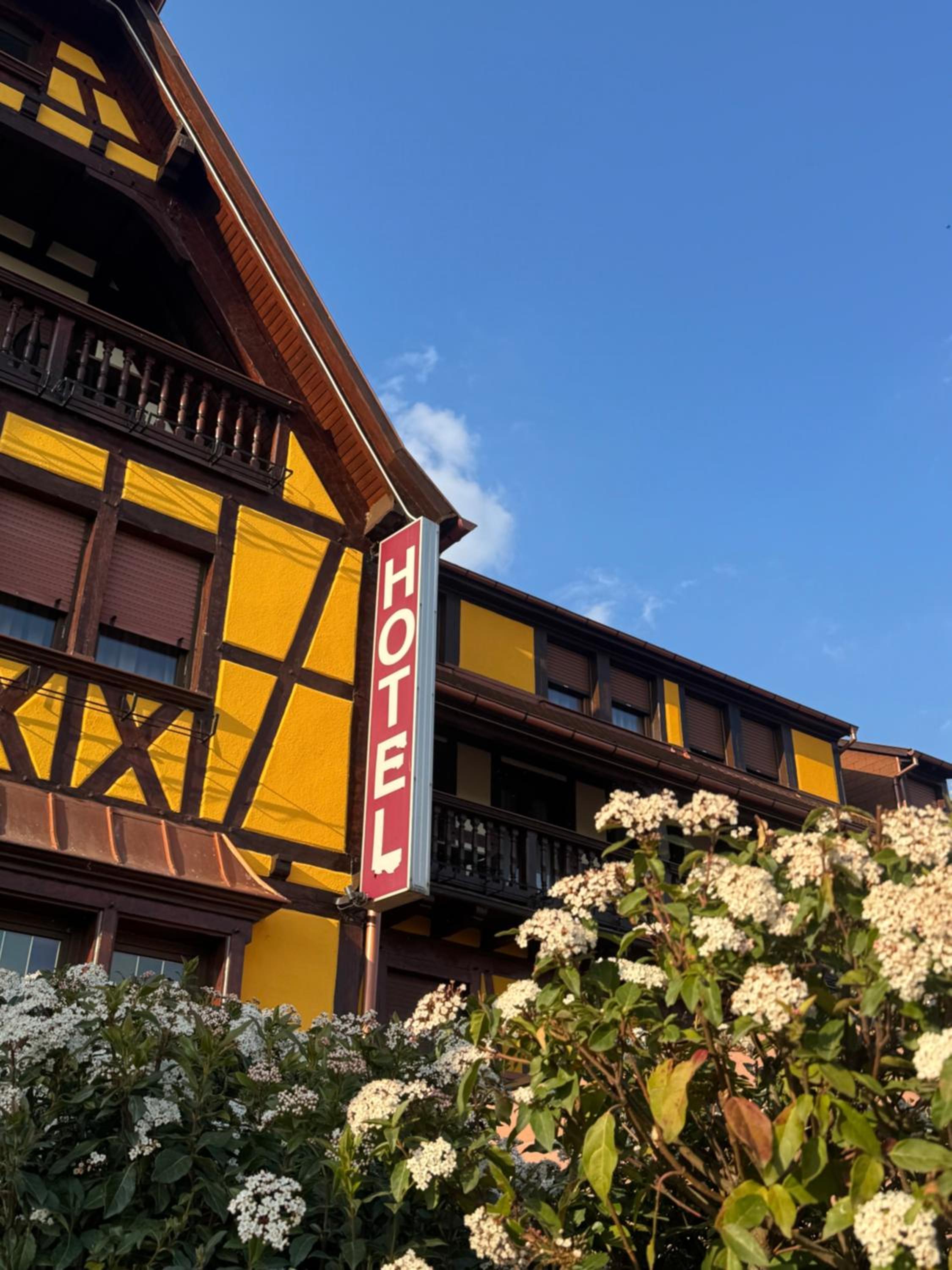 Hotel Restaurant Au Parc des Cigognes 2