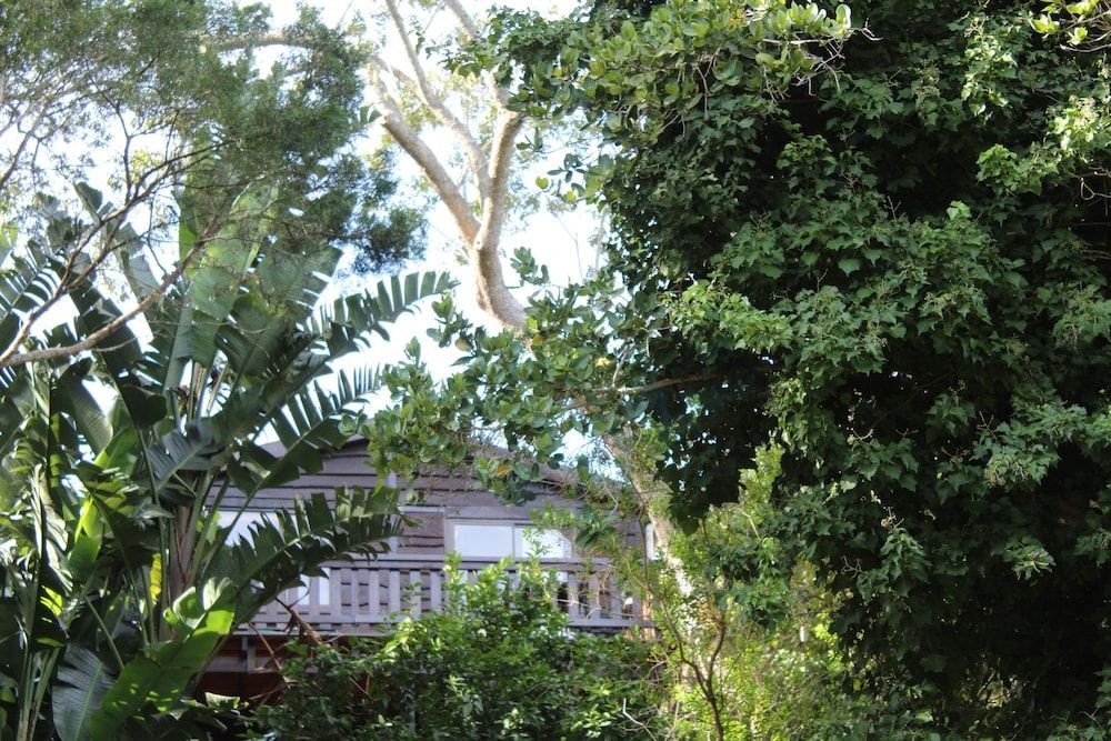 Treehouse Cottage 1