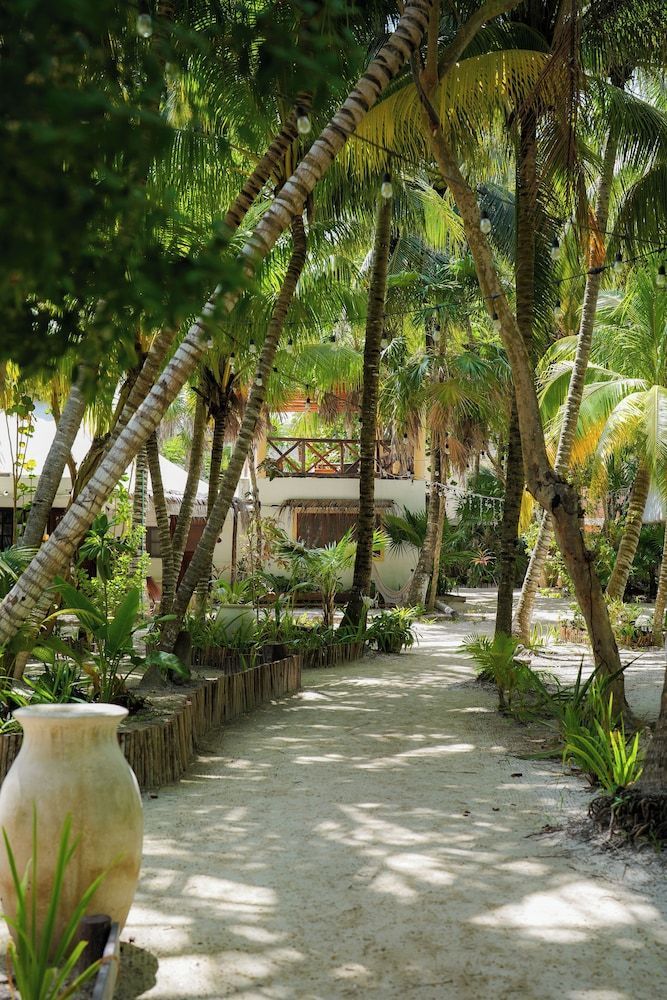 Zomay Beachfront Holbox 1