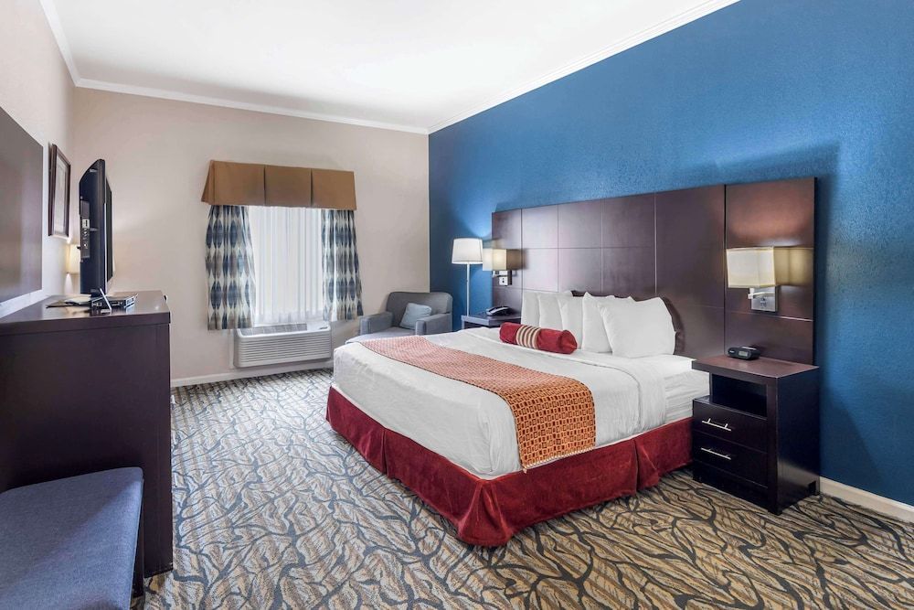 Best Western Spring Hill Inn & Suites 1