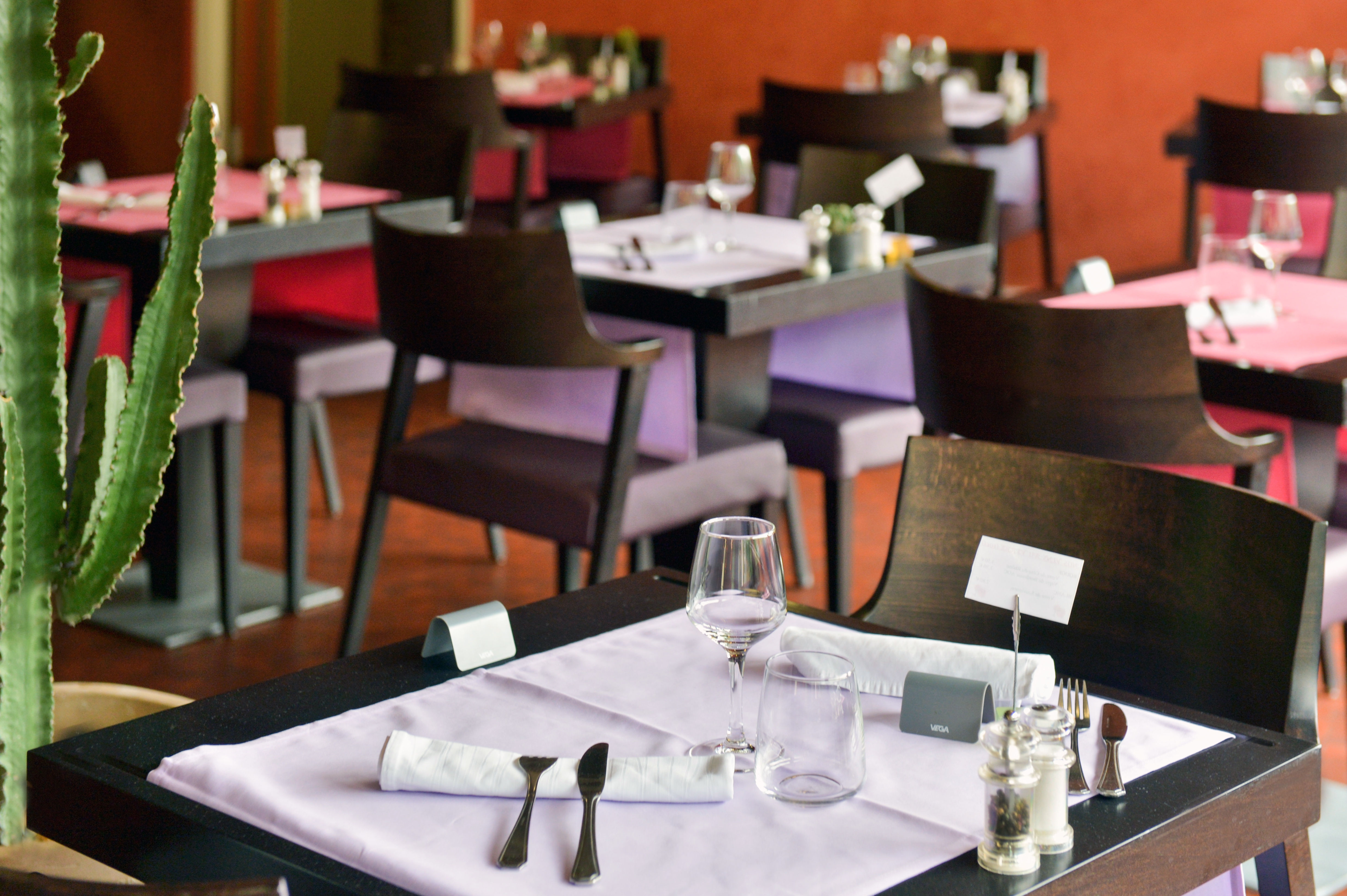 Contact Hotel Le Moulin Neuf Chantonnay 1