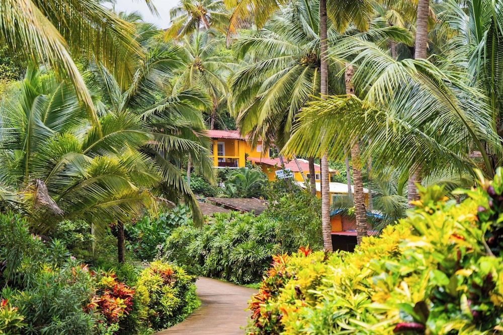 Palm Beach Lifestyle Resort Managed By Anusaksh 1