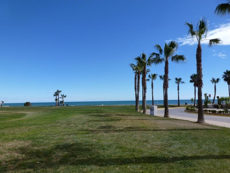 Apartamentos Oropesa Primera Línea 3000 1