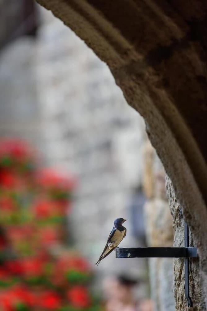 Auberge Regordane 2