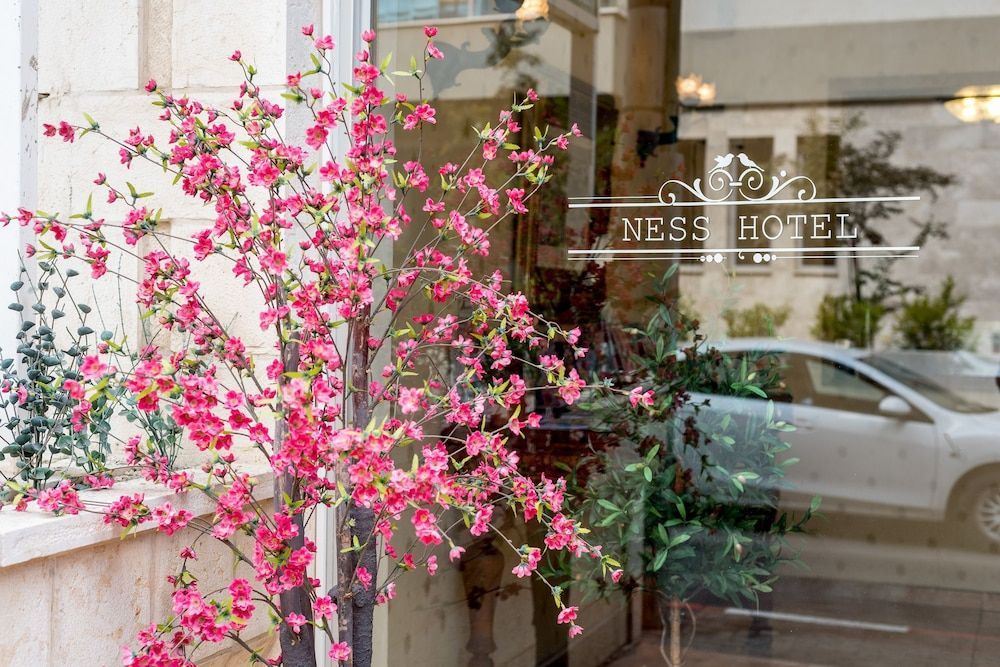 Ness Hotel 1