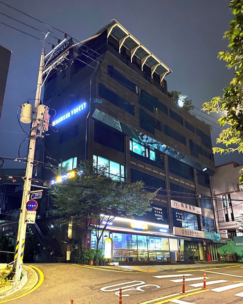 Namsan Forest in Myeongdong 1