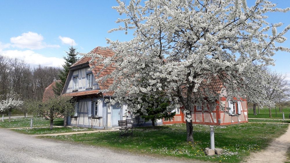 Les Loges de l'Ecomusée D'Alsace 1