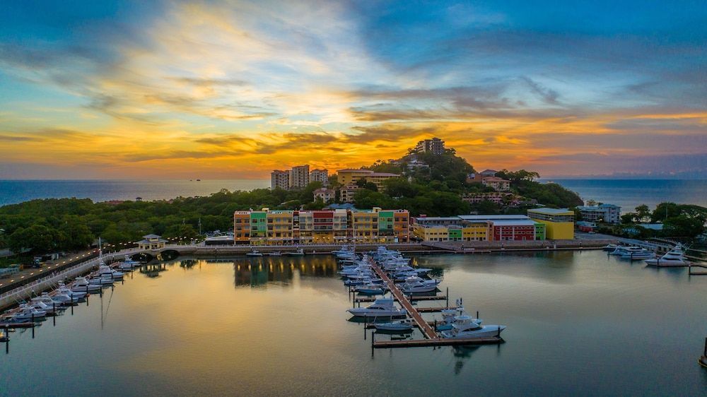 Marina Flamingo 1