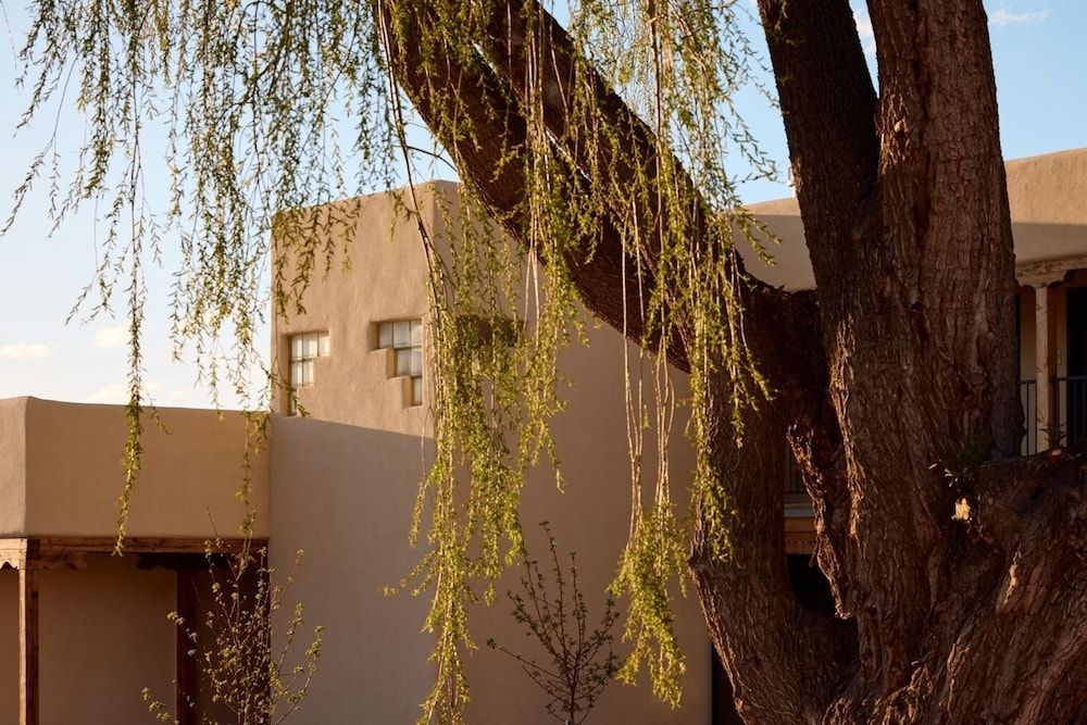 Hotel Willa 1