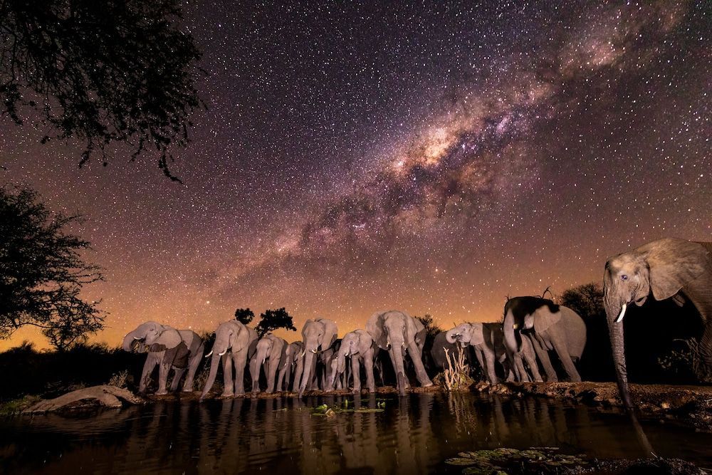 Antares Bush Camp & Umgede Hide 1
