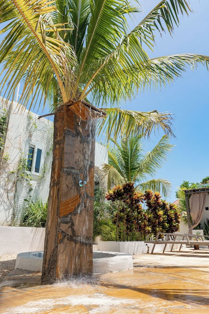 Cactus lodge Zanzibar 1