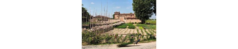 Antica Corte Pallavicina Relais 1