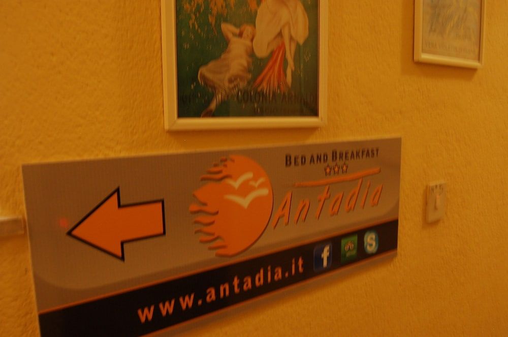 Antadia Terminal Bus 1
