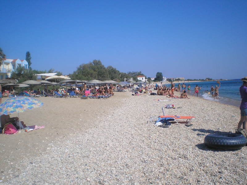 Apollon (ex. Albatros) 1