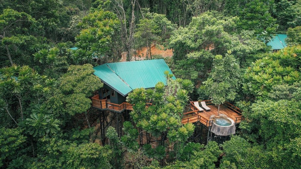 Chachagua Rainforest Hotel & Hot Springs 1