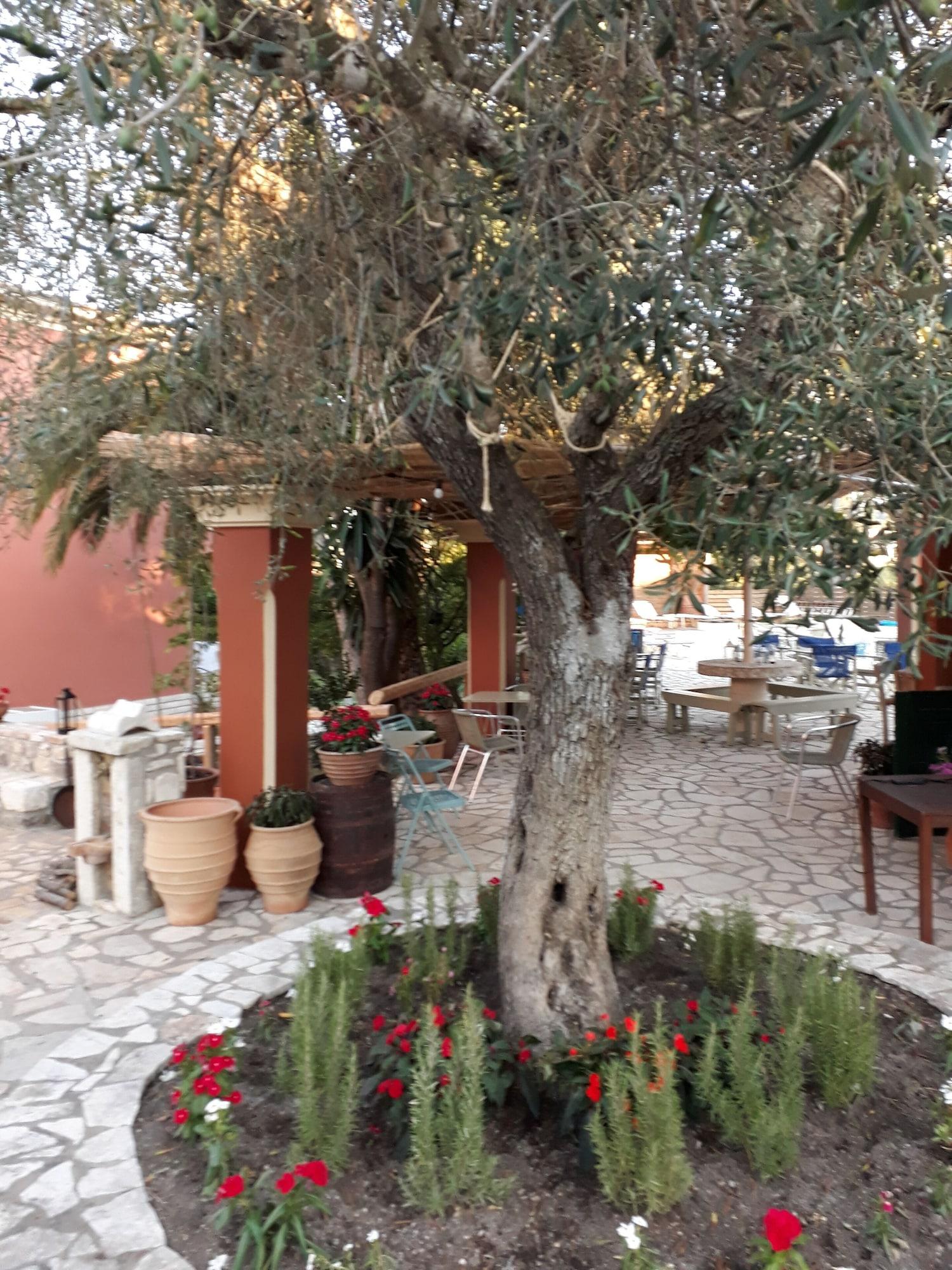 Pierhouse Hotel In Gouvia 2