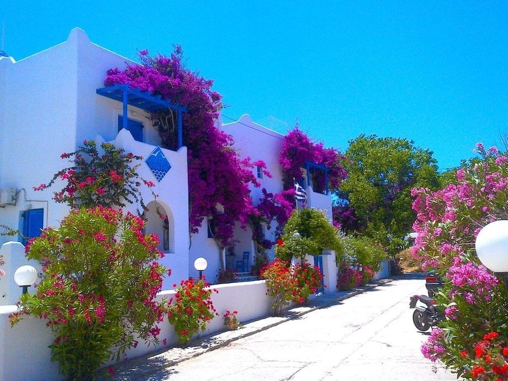 Pelagos Studios 1