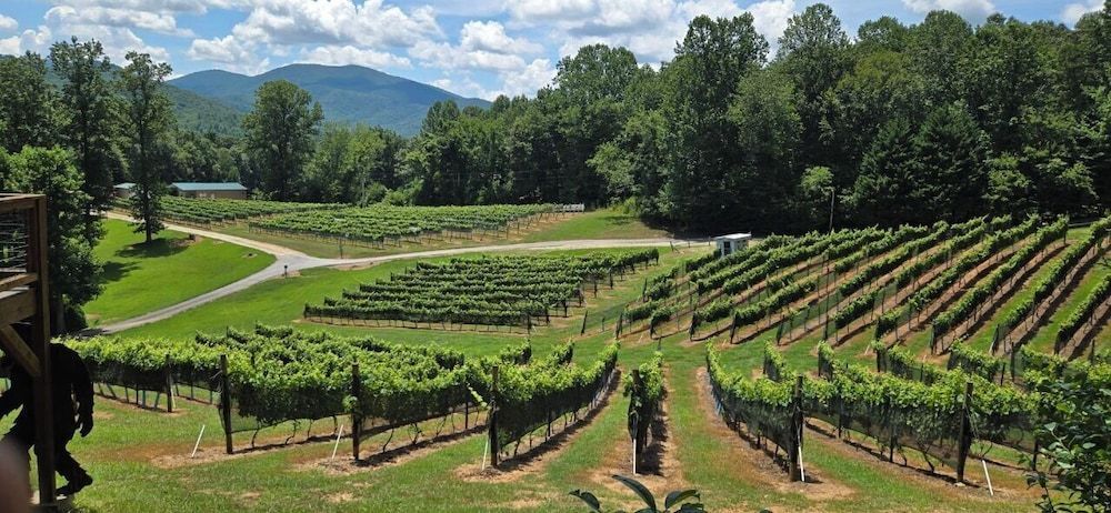 Paradise Hills, Winery Resort & Spa 1