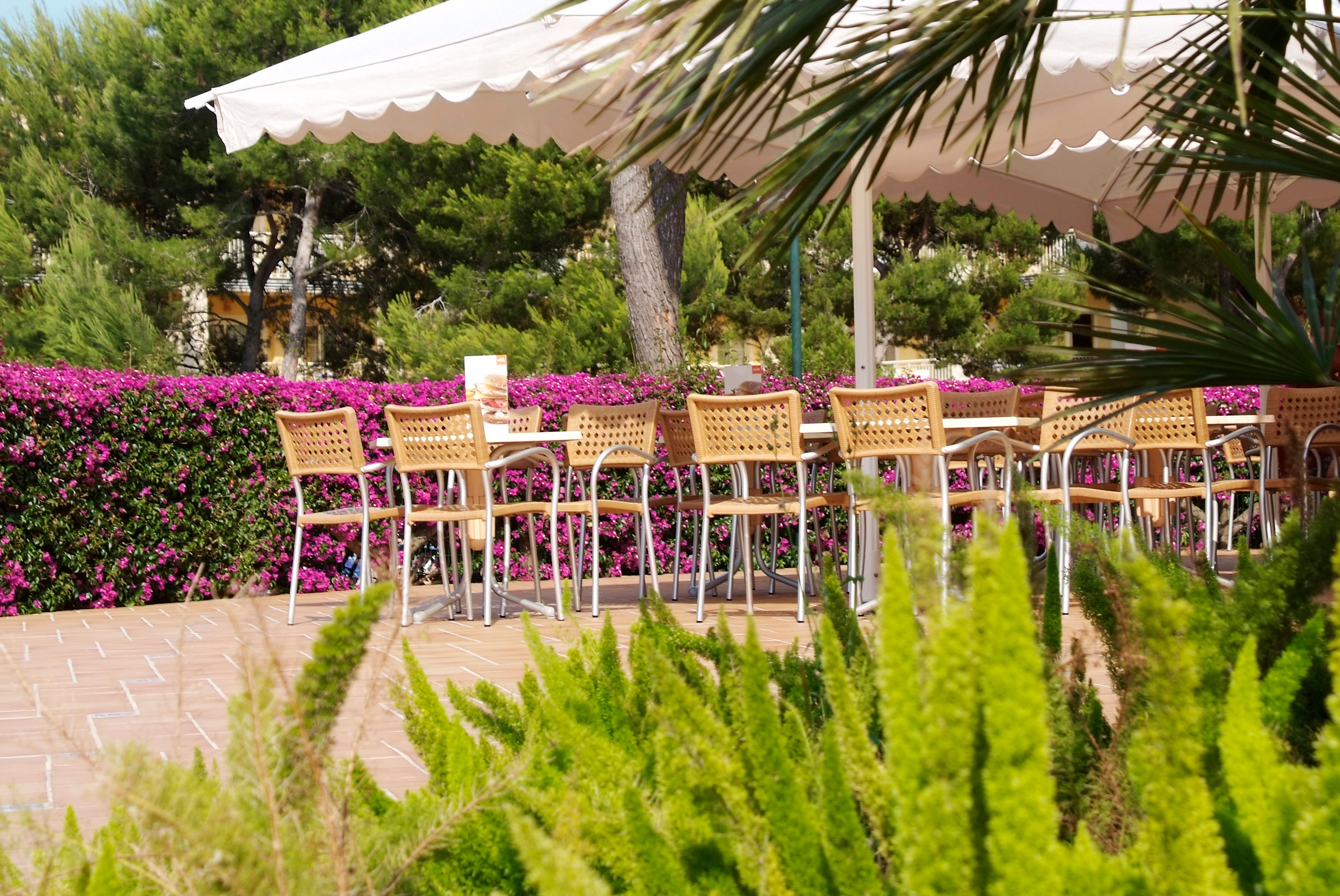 Zafiro Mallorca & Spa 2