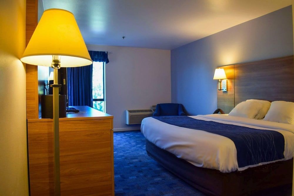 Comfort Inn Bellingham 1