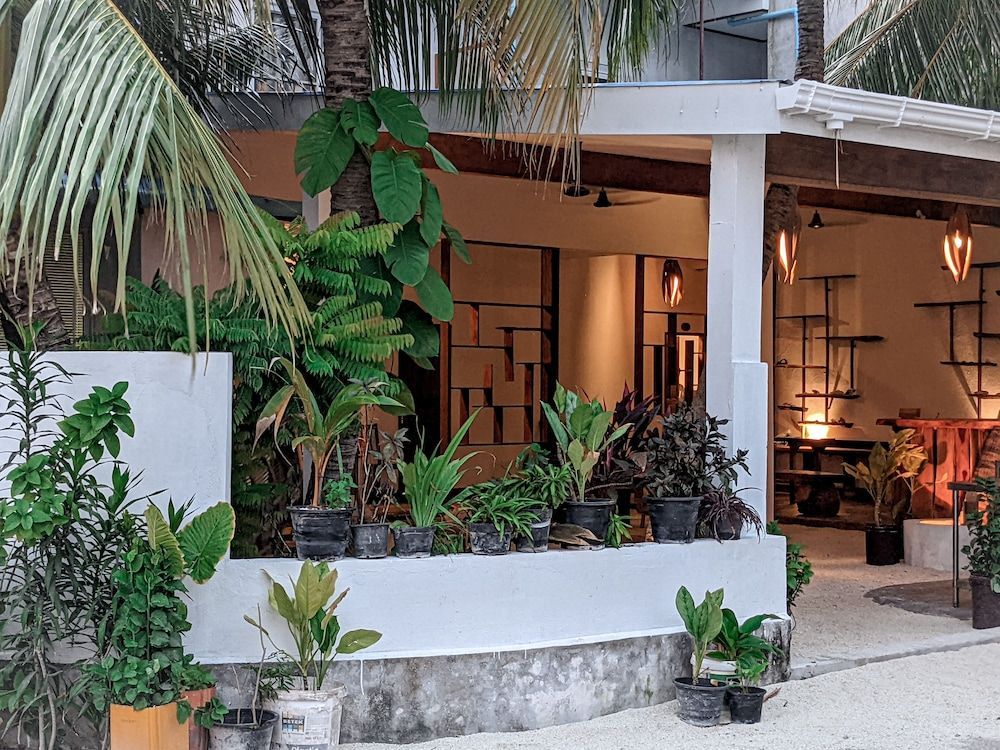 Dhoadhi Retreat 1