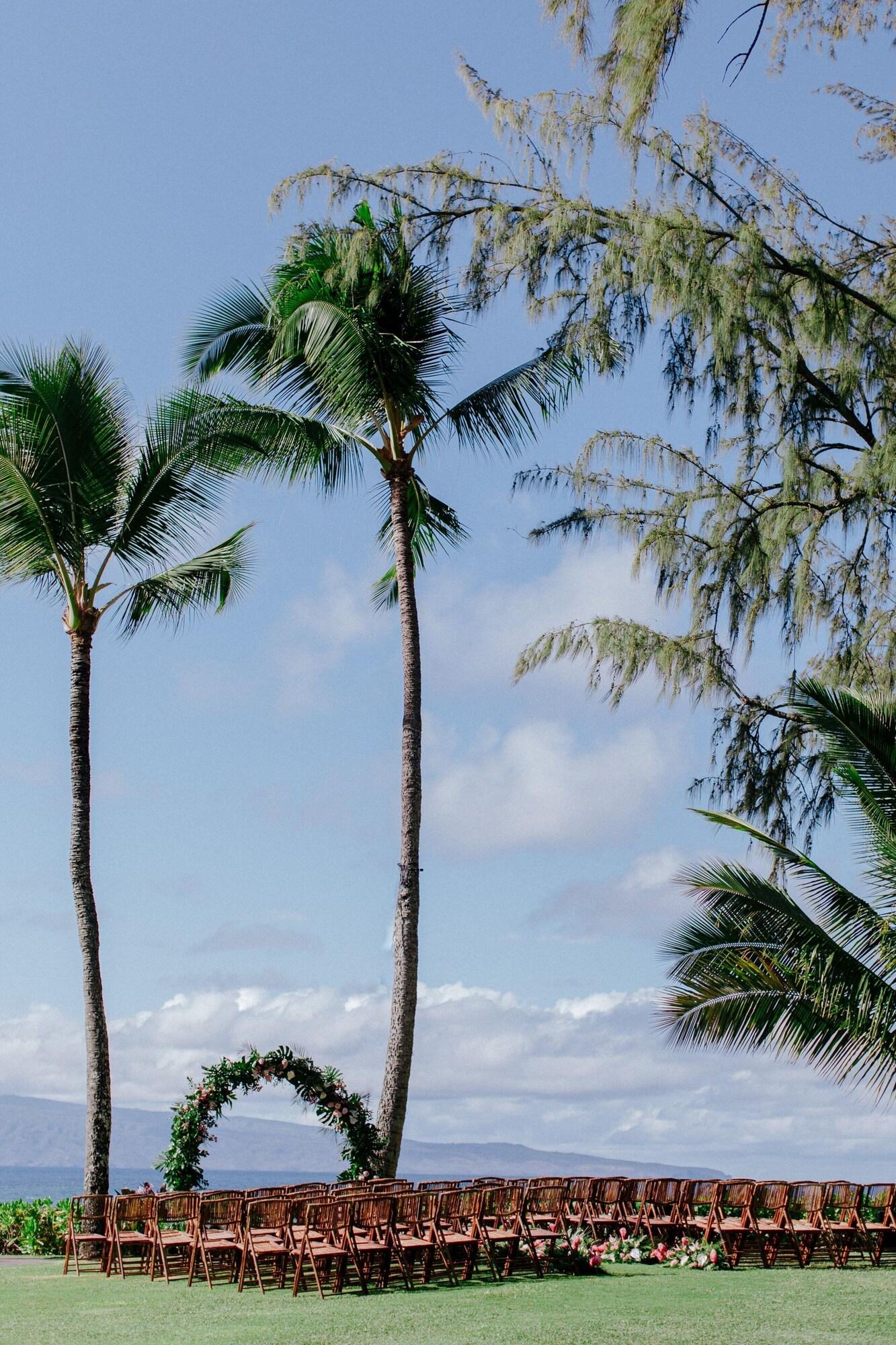 The Ritz-Carlton Maui, Kapalua 2