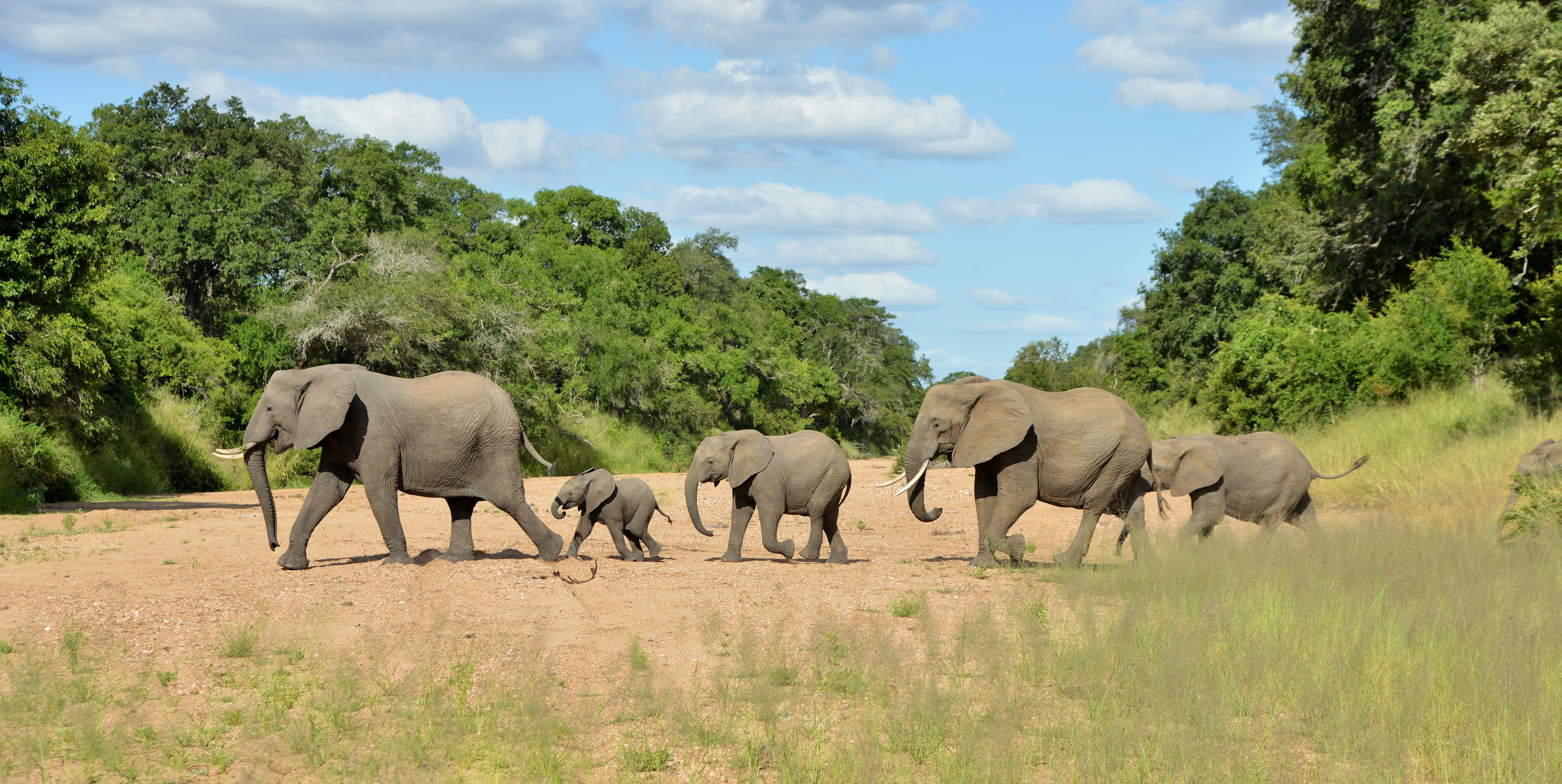 Imbali Safari Lodge 2