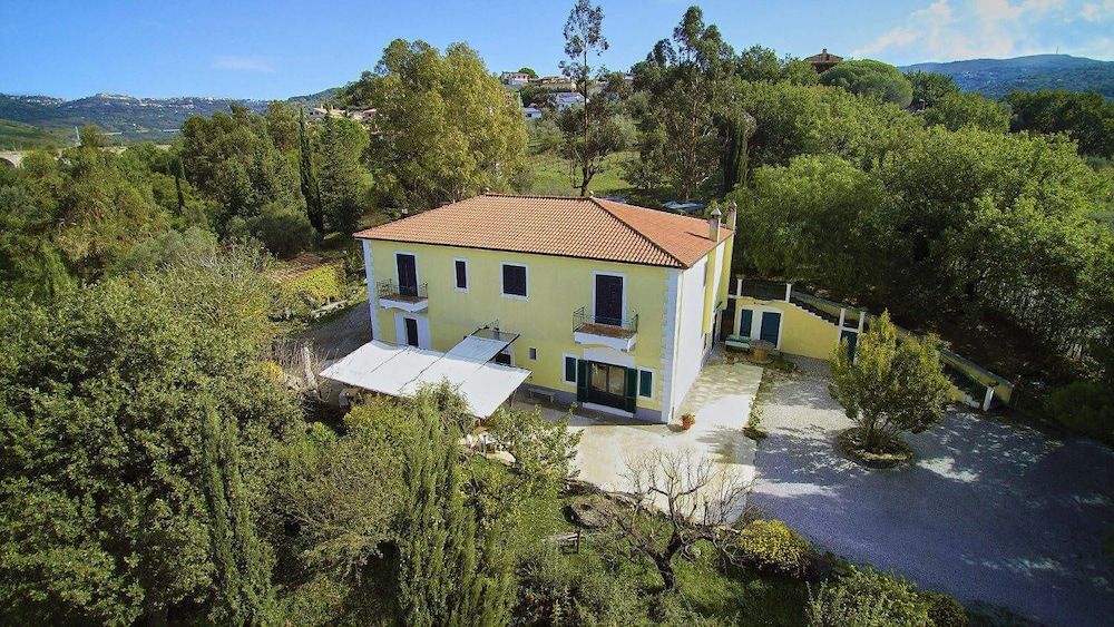 Lamione da Dorotea 1