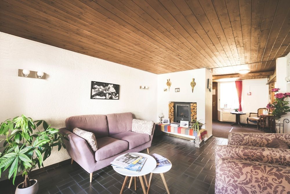 Hotel Alpina 1