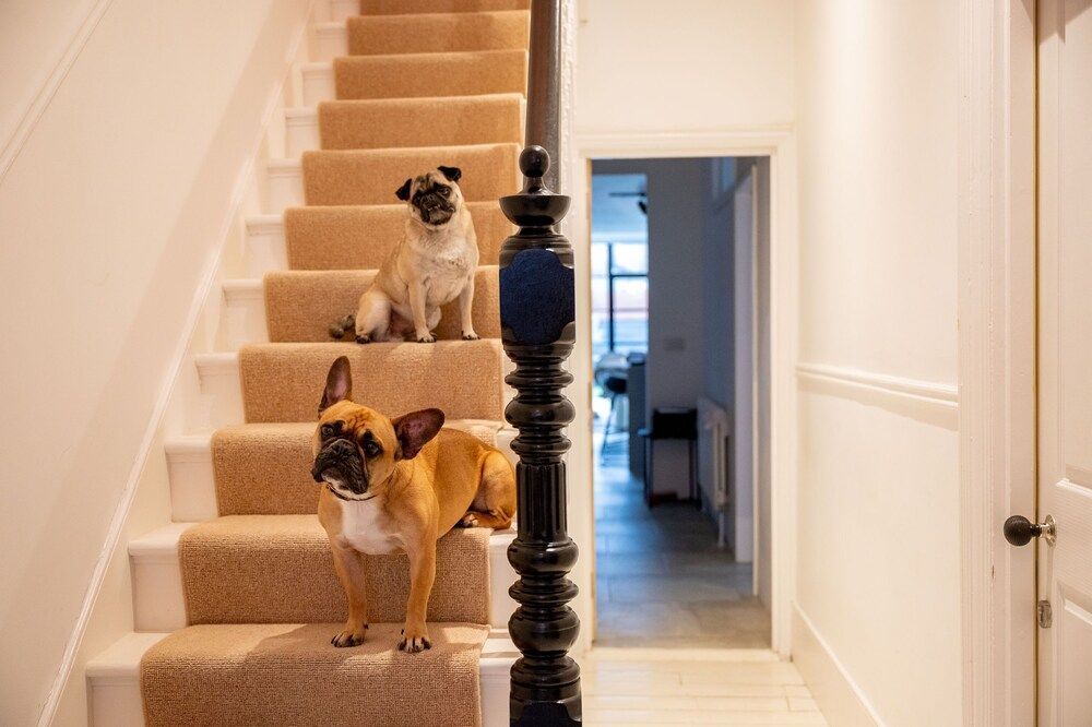 Doghouse Margate 2