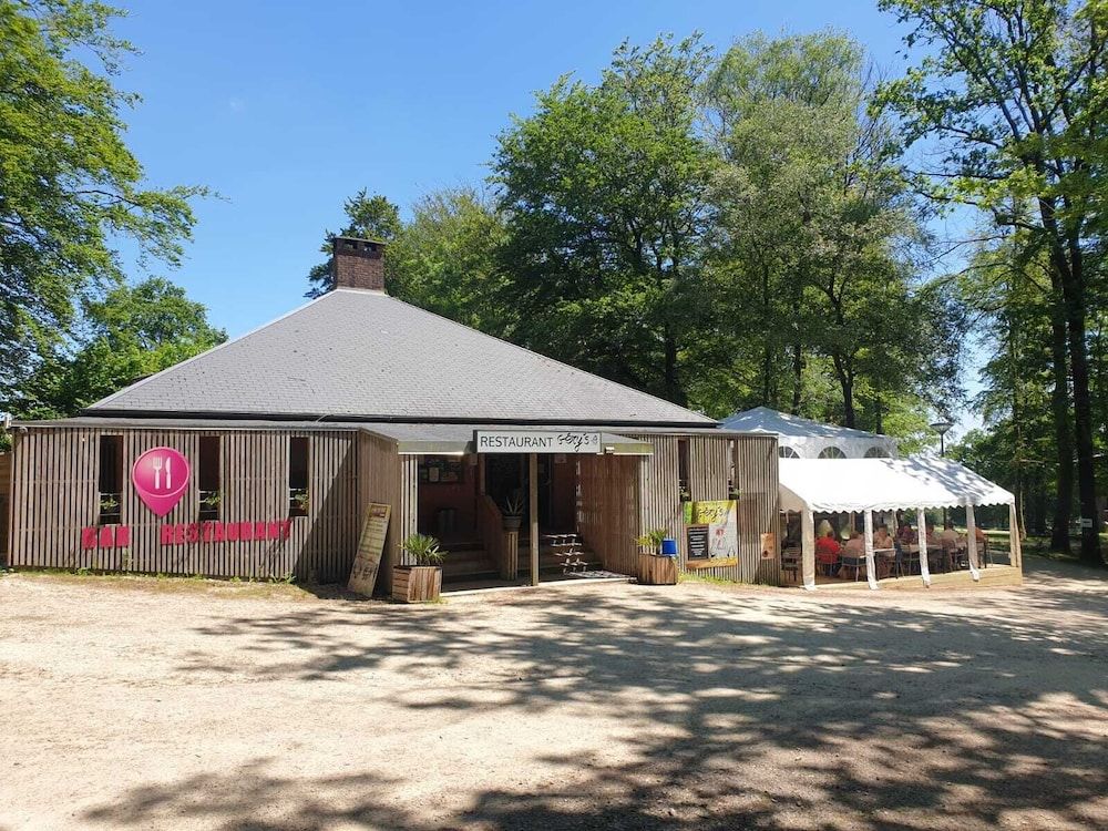 L'étape en forêt 2