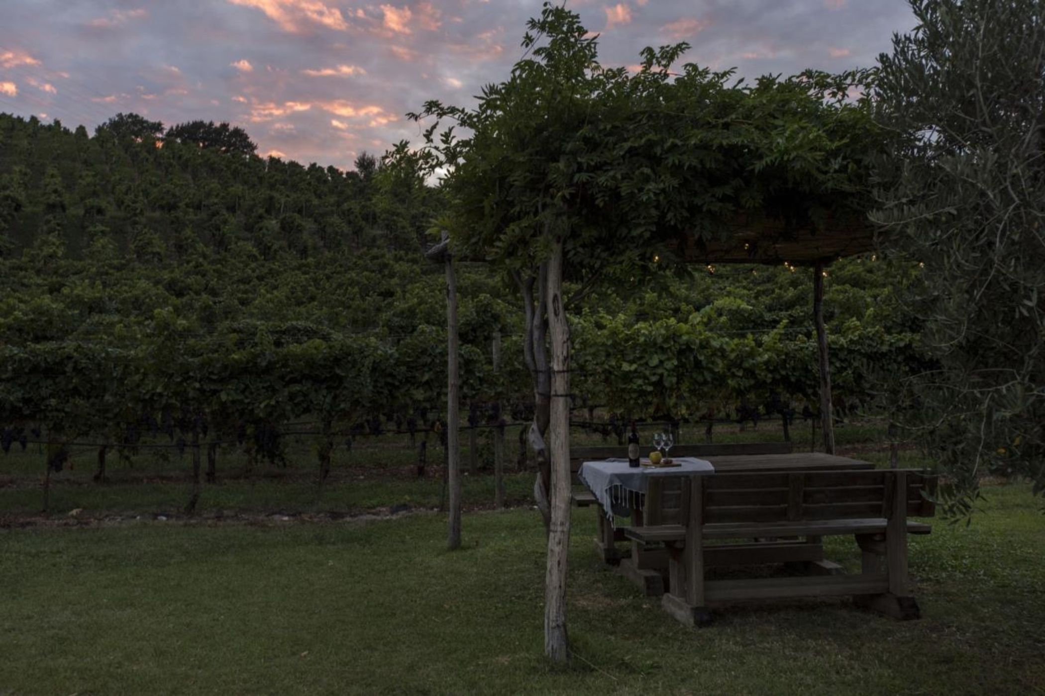 Residence La Vigna 1