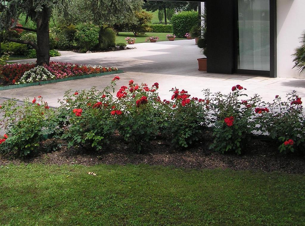 Hotel Giovanni 2