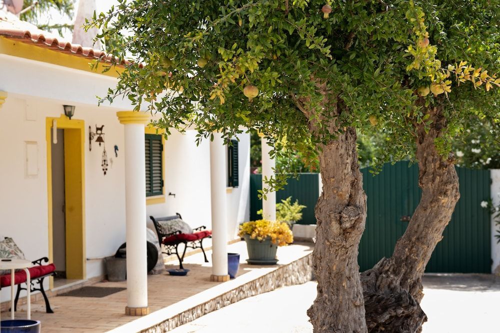 B&B Quinta da Romãzeira 1