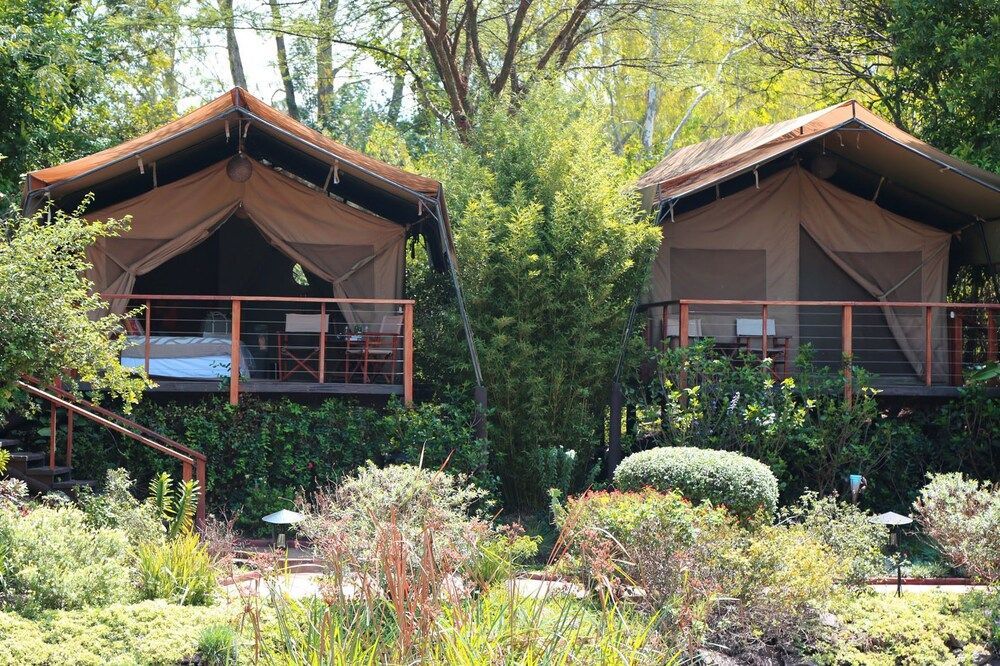 Wildebeest Eco Camp 1