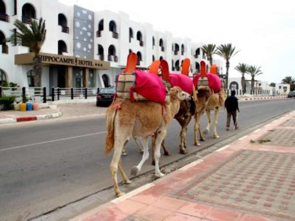 Hotel Hippocampe 2